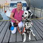 Ersteller:in Violeta Profilbild