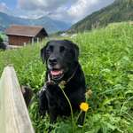 Ersteller:in Henry Profilbild