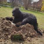 Ersteller:in Markus Profilbild