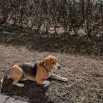 Ersteller:in Cindy Profilbild