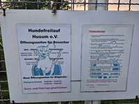 Hundeauslaufgebiet-Hundefreilauf Husum-Bild