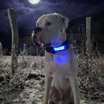 Ersteller:in Hikmet Profilbild