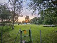 Hundeauslaufgebiet-Hundefreilauf Husum-Bild