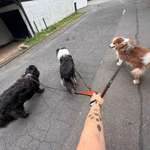 Ersteller:in Alexandra Profilbild