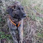 Ersteller:in Leonore Profilbild