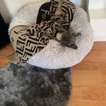 Ersteller:in Tyra Profilbild