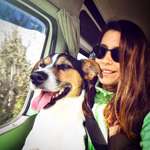 Ersteller:in tanja Profilbild