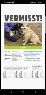 Suchmeldung-Vierka-Bild