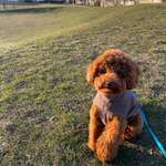 Ersteller:in Yaprak Profilbild