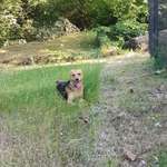 Ersteller:in Nicole Profilbild