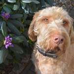 Ersteller:in Jana Profilbild