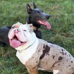 Ersteller:in Marco Profilbild