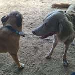 Ersteller:in Gabriele Profilbild