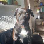 Ersteller:in Nina Profilbild