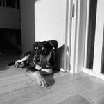 Ersteller:in Jennifer Profilbild