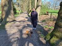 Hundeauslaufgebiet-Höpkens Ruh und Muhles Park-Bild