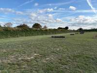 Hundeauslaufgebiet-Hundewiese Boltenhagen-Bild