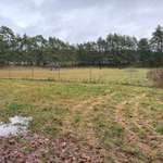 Hundeauslaufgebiet-Hundefreilaufplatz Bad Bevensen-Bild