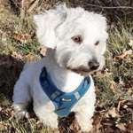 Ersteller:in Yvonne Profilbild