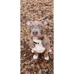 Ersteller:in Chris Profilbild