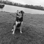 Ersteller:in Mareen Profilbild