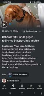 Wie steht ihr zur Empfehlung gegen Staupe zu impfen.-Beitrag-Bild