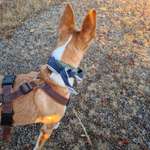 Ersteller:in Basti & Dina Profilbild