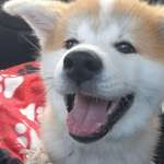 Ersteller:in Alexej Profilbild