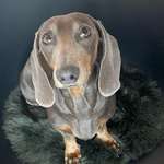 Ersteller:in Manu Profilbild