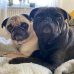 Ersteller:in Anna Profilbild