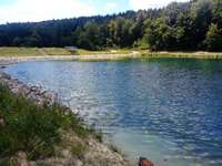 Hundeauslaufgebiet-Mönsheim Paulinensee-Bild