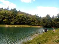 Hundeauslaufgebiet-Mönsheim Paulinensee-Bild