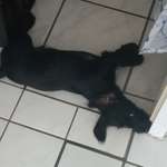 Ersteller:in Michael Profilbild