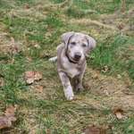 Ersteller:in Patrick Profilbild