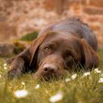 Ersteller:in Steffi Profilbild