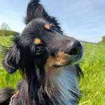 Ersteller:in C. Profilbild