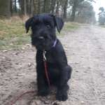 Ersteller:in SVE Profilbild