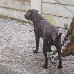 Ersteller:in Patrik Profilbild