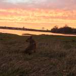 Ersteller:in Charlotte Profilbild