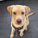 Ersteller:in Alessandra Profilbild