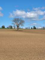 Hundeauslaufgebiet-Katharinenberg-Bild