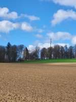 Hundeauslaufgebiet-Katharinenberg-Bild