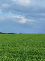 Hundeauslaufgebiet-Katharinenberg-Bild