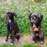 Ersteller:in Eva Profilbild