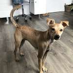 Ersteller:in Sabine Profilbild