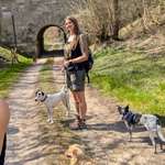 Ersteller:in иιиα Profilbild