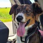 Ersteller:in Christina Profilbild