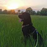 Ersteller:in Eike Profilbild