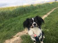 Was bin ich wohl???-Beitrag-Bild