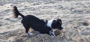 Was bin ich wohl???-Beitrag-Bild